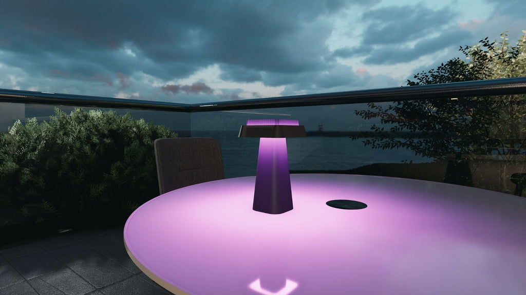 NBhanyuan: A sleek outdoor light on a garden path, showcasing insect-friendly B2B lighting solutions.