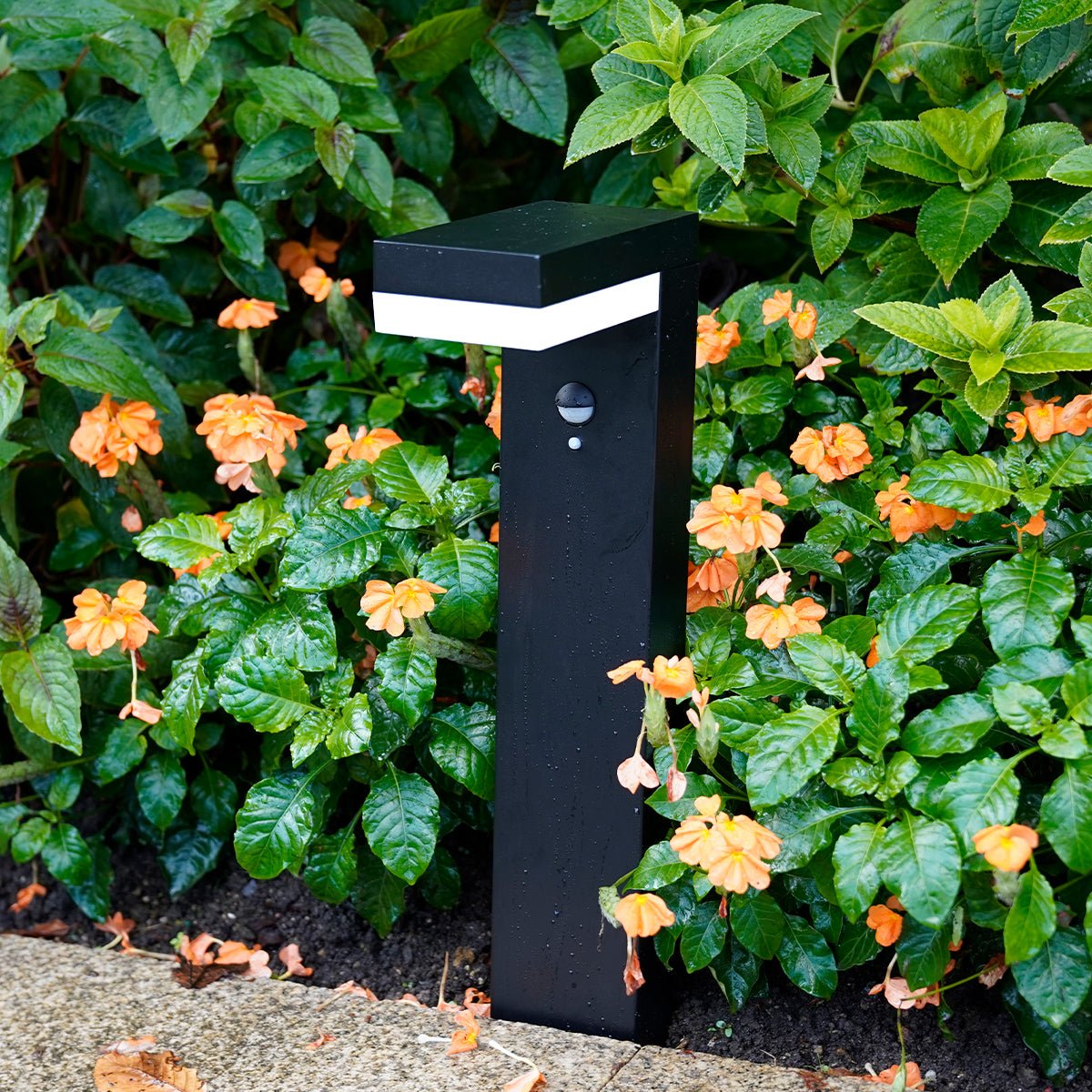 VENUS LED Path Lamp with 4-in-1 Sensor: A Perfect Choice for Bulk Solar Lights