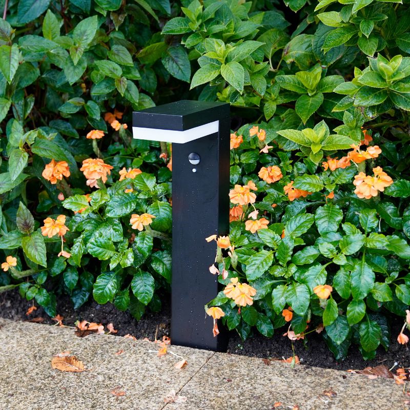 This is a stylish black indoor floor lamp with a sleek design, equipped with a motion sensor, surrounded by vibrant greenery and colorful orange flowers. The lamp is designed to blend seamlessly into both indoor and outdoor settings.