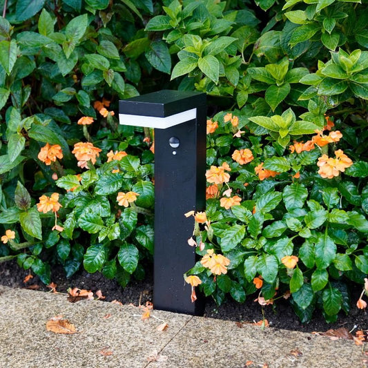 This is a stylish black indoor floor lamp with a sleek design, equipped with a motion sensor, surrounded by vibrant greenery and colorful orange flowers. The lamp is designed to blend seamlessly into both indoor and outdoor settings.