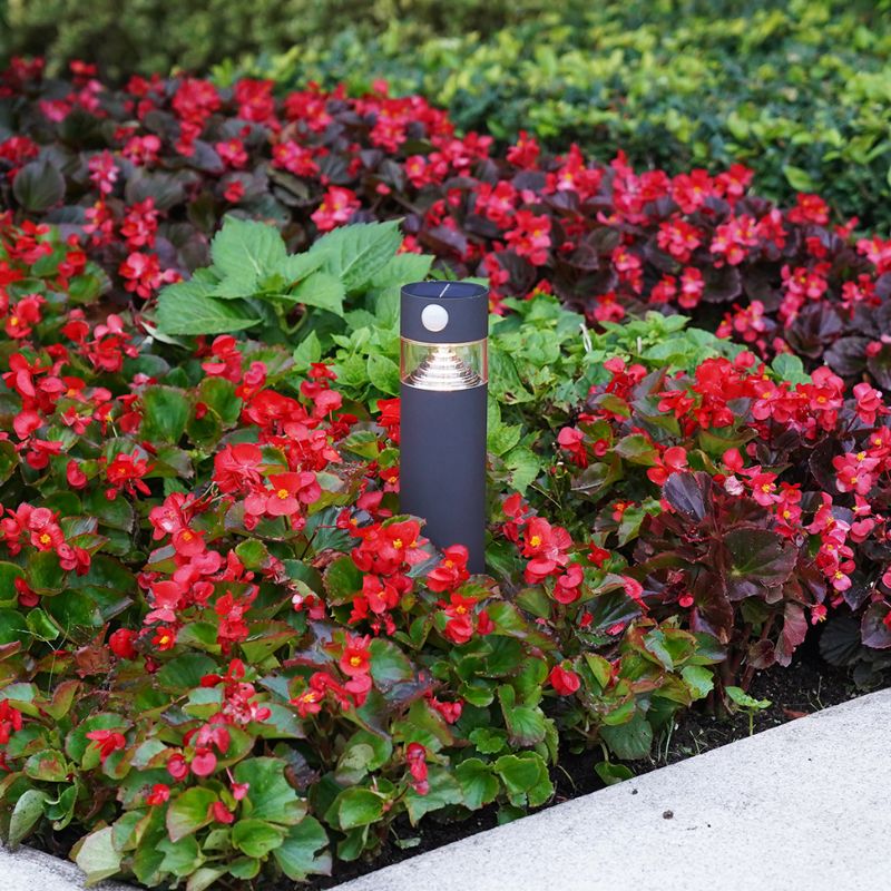 Ningbo Hanyuan Orion black solar floor lamp surrounded by vibrant red flowers in a garden setting, ideal for outdoor illumination.