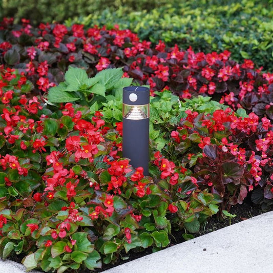 Ningbo Hanyuan Orion black solar floor lamp surrounded by vibrant red flowers in a garden setting, ideal for outdoor illumination.